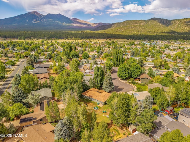 2829 N Erin Way, Flagstaff, AZ 86001 - photo 8
