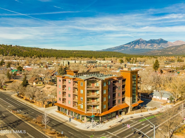 drone / aerial view featuring a mountain view