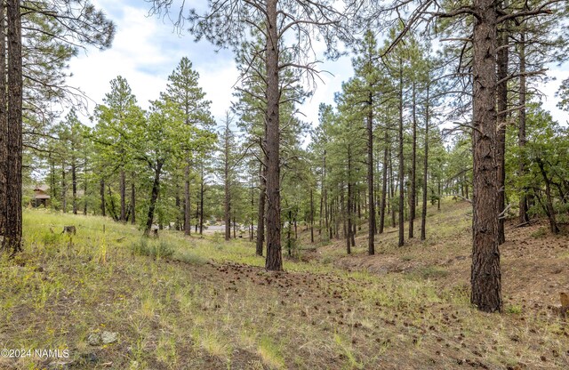 4540 S Flagstaff Ranch Rd, Flagstaff, AZ 86005