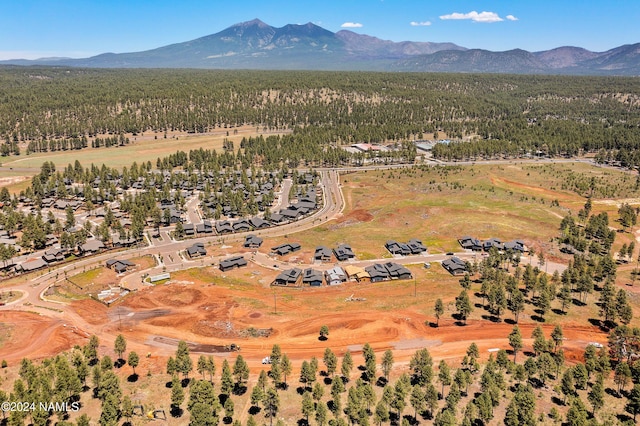 3207 W Lyra Way Lot 21, Flagstaff, AZ 86001 - photo 3