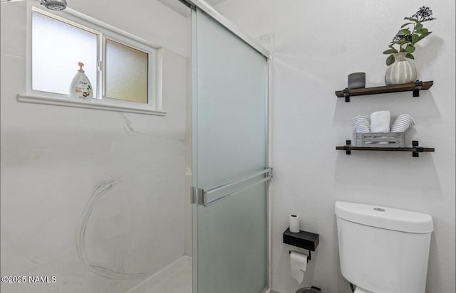 bathroom with toilet and a stall shower