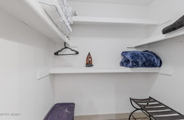 view of spacious closet