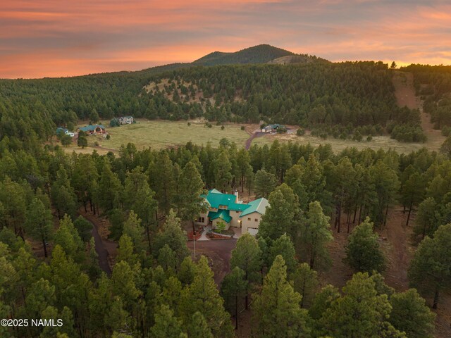 5240 Sierra Vista Rd, Flagstaff, AZ 86001 - photo 3