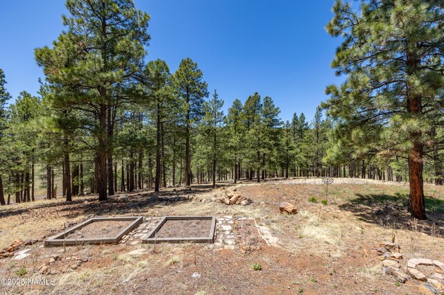5240 Sierra Vista Rd, Flagstaff, AZ 86001 - photo 71