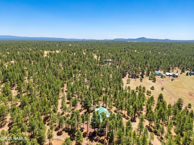 5240 Sierra Vista Rd, Flagstaff, AZ 86001 - photo 78