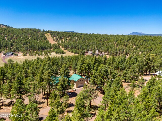 5240 Sierra Vista Rd, Flagstaff, AZ 86001 - photo 74