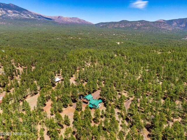 5240 Sierra Vista Rd, Flagstaff, AZ 86001 - photo 81