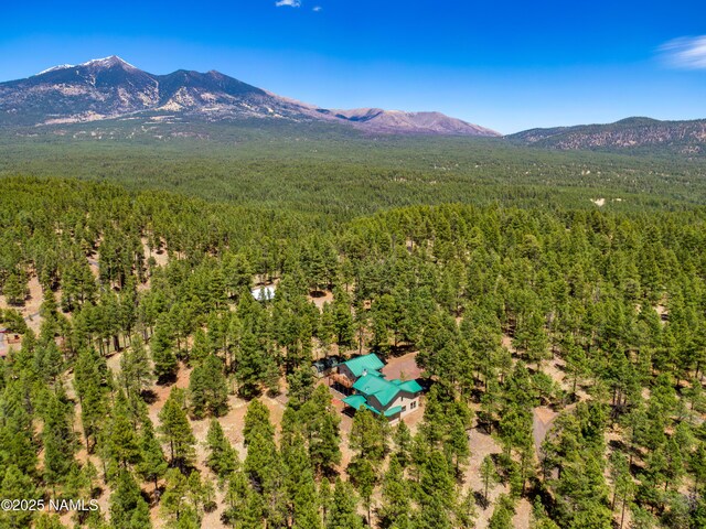 5240 Sierra Vista Rd, Flagstaff, AZ 86001 - photo 79