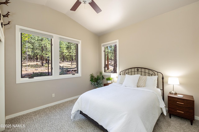 5240 Sierra Vista Rd, Flagstaff, AZ 86001 - photo 18