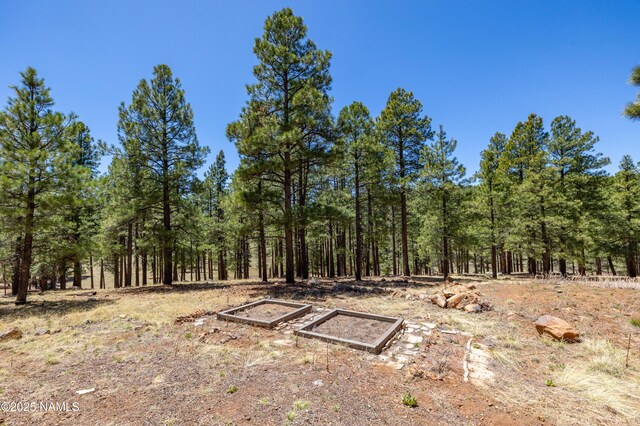 5240 Sierra Vista Rd, Flagstaff, AZ 86001 - photo 69