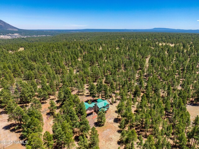 5240 Sierra Vista Rd, Flagstaff, AZ 86001 - photo 77