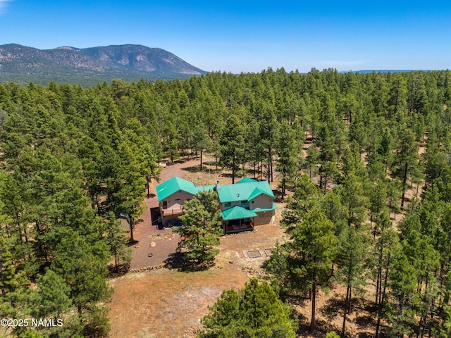5240 Sierra Vista Rd, Flagstaff, AZ 86001 - photo 82