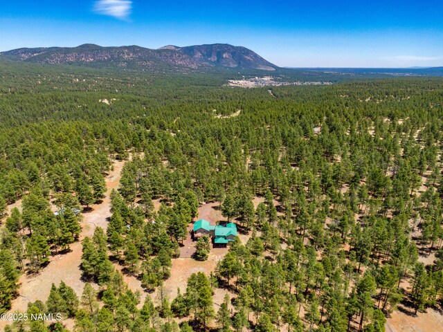5240 Sierra Vista Rd, Flagstaff, AZ 86001 - photo 75