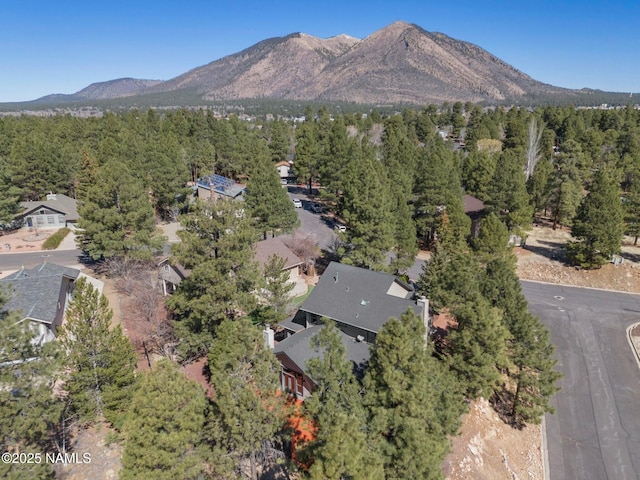2384 N Augusta Dr, Flagstaff, AZ 86004 - photo 40