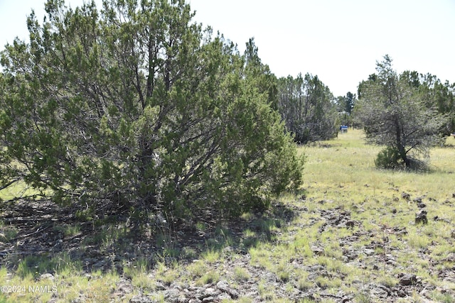 258 E Key Cir Unit 416, Williams, AZ 86046 - photo 2