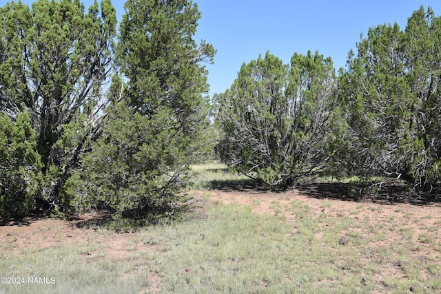258 E Key Cir Unit 416, Williams, AZ 86046 - photo 4