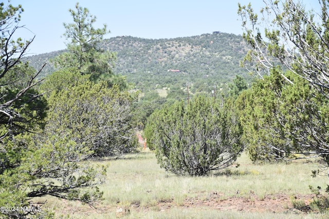 258 E Key Cir Unit 416, Williams, AZ 86046 - photo 6