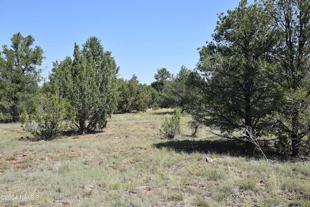 258 E Key Cir Unit 416, Williams, AZ 86046 - photo 7