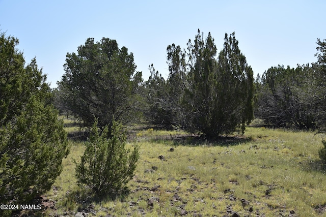 258 E Key Cir Unit 416, Williams, AZ 86046 - photo 3