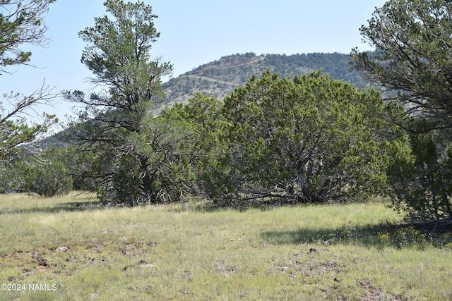 258 E Key Cir Unit 416, Williams, AZ 86046 - photo 5