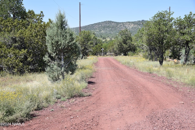258 E Key Cir Unit 416, Williams, AZ 86046 - photo 9