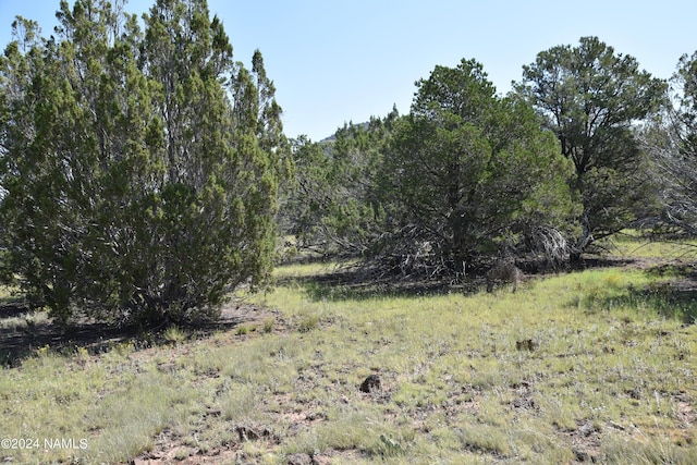 258 E Key Cir Unit 416, Williams, AZ 86046 - photo 1