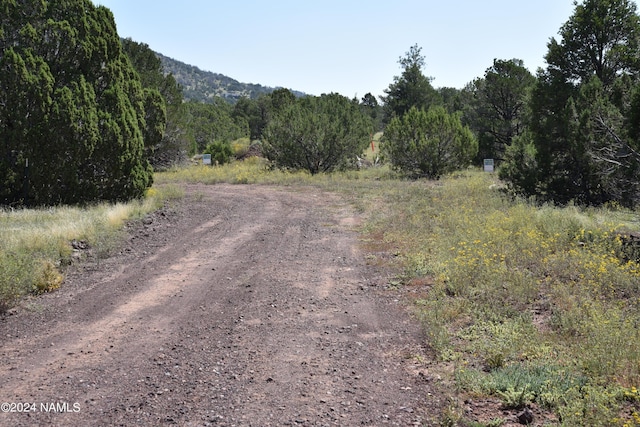 258 E Key Cir Unit 416, Williams, AZ 86046 - photo 10