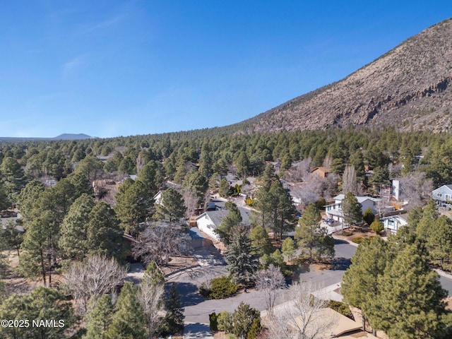 bird's eye view with a wooded view and a mountain view