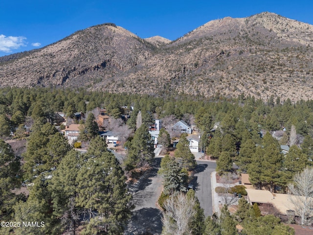 property view of mountains with a forest view