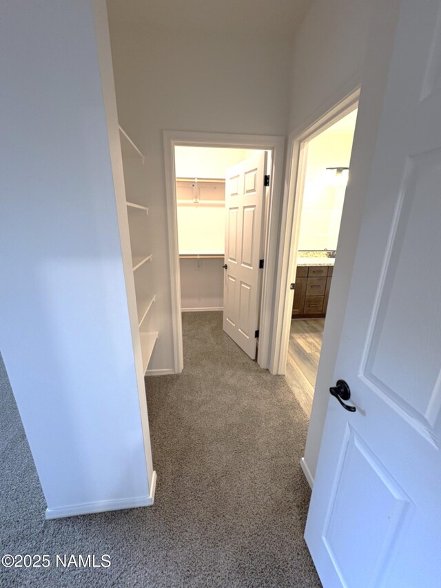 1650 E Ponderosa Pkwy Unit 7-231, Flagstaff, AZ 86001 - hall with baseboards and carpet flooring