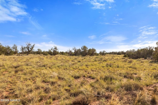1670 Silver Bear Ln Unit D, Williams, AZ 86046 - photo 8