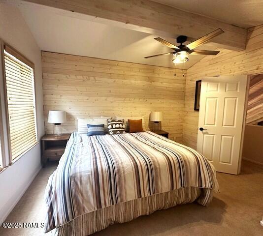 207 Blue Rdg Rd, Mormon Lake, AZ 86038 - photo 33