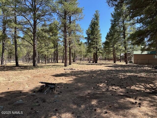 207 Blue Rdg Rd, Mormon Lake, AZ 86038 - photo 49