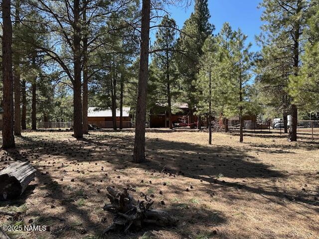 207 Blue Rdg Rd, Mormon Lake, AZ 86038 - photo 53