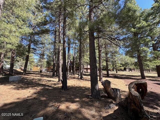 207 Blue Rdg Rd, Mormon Lake, AZ 86038 - photo 2