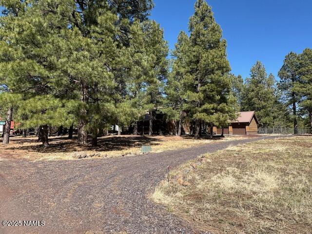 207 Blue Rdg Rd, Mormon Lake, AZ 86038 - photo 5