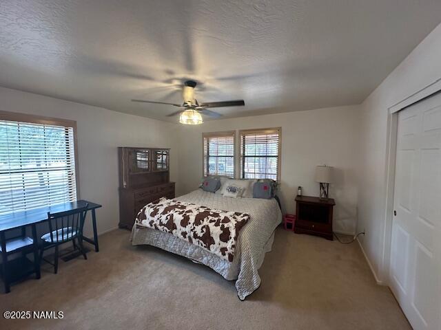 207 Blue Rdg Rd, Mormon Lake, AZ 86038 - photo 26