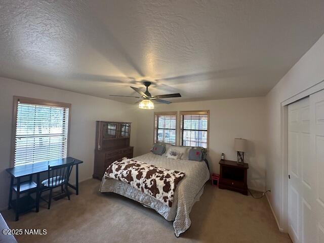 207 Blue Rdg Rd, Mormon Lake, AZ 86038 - photo 15