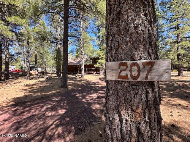 207 Blue Rdg Rd, Mormon Lake, AZ 86038 - photo 3
