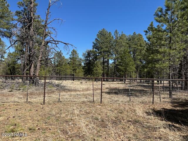 207 Blue Rdg Rd, Mormon Lake, AZ 86038 - photo 54