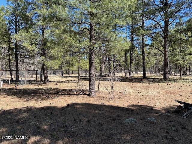 207 Blue Rdg Rd, Mormon Lake, AZ 86038 - photo 48