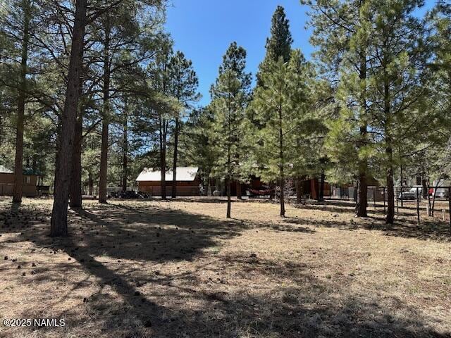 207 Blue Rdg Rd, Mormon Lake, AZ 86038 - photo 51
