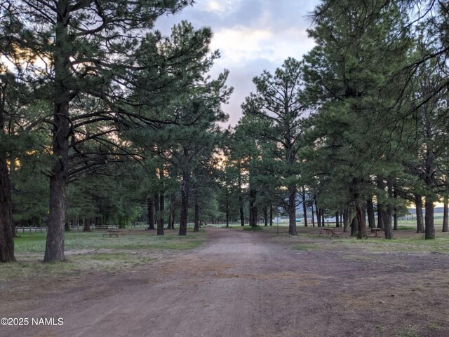 207 Blue Rdg Rd, Mormon Lake, AZ 86038 - photo 57