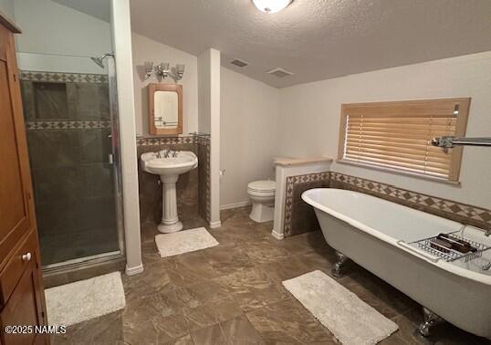 207 Blue Rdg Rd, Mormon Lake, AZ 86038 - photo 34