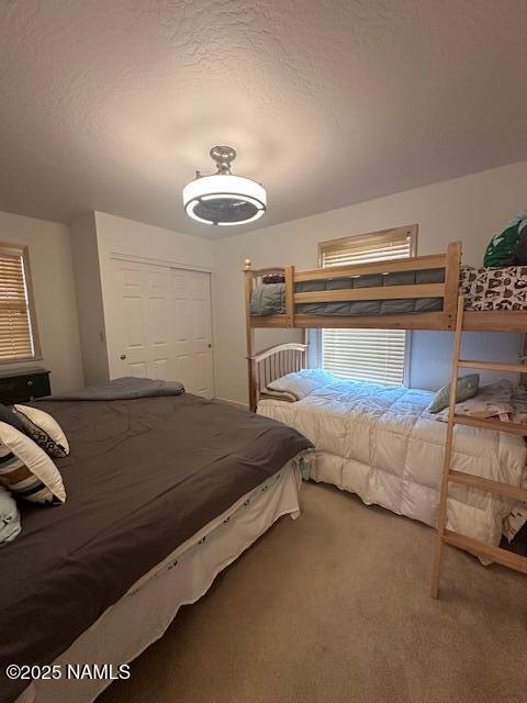 207 Blue Rdg Rd, Mormon Lake, AZ 86038 - photo 27