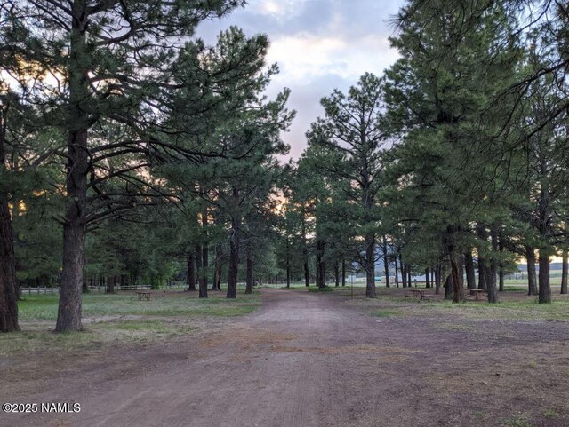 207 Blue Rdg Rd, Mormon Lake, AZ 86038 - photo 61