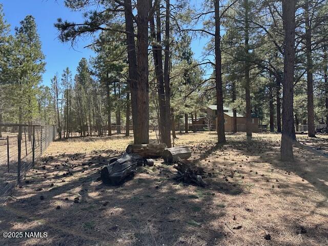 207 Blue Rdg Rd, Mormon Lake, AZ 86038 - photo 52