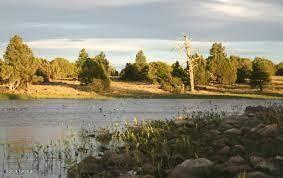 207 Blue Rdg Rd, Mormon Lake, AZ 86038 - photo 59