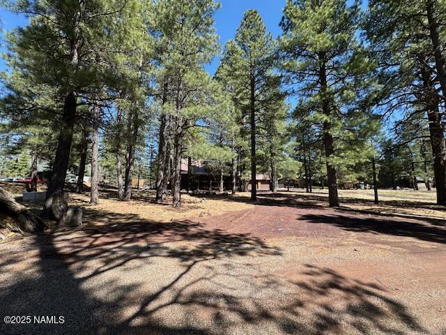 207 Blue Rdg Rd, Mormon Lake, AZ 86038 - photo 4
