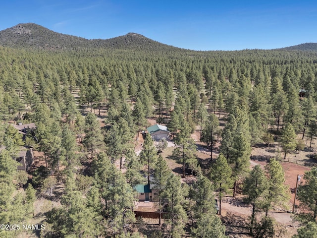 363 N Stoneman Blvd, Williams, AZ 86046 - photo 30